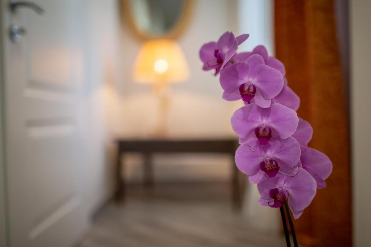 Saint Joseph Hotel Livorno Kültér fotó